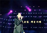 大别山（金寨）首届民俗文化旅游节开幕式暨玉博园之夜群星演唱会